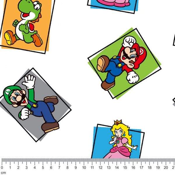 LC3035 Mario Characters Block